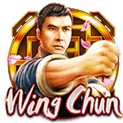 Vịnh Xuân Quyền screenshot